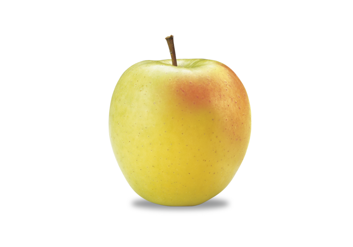 Apfel Golden Delicious