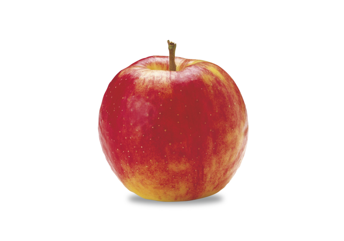 Apfel Jonagold
