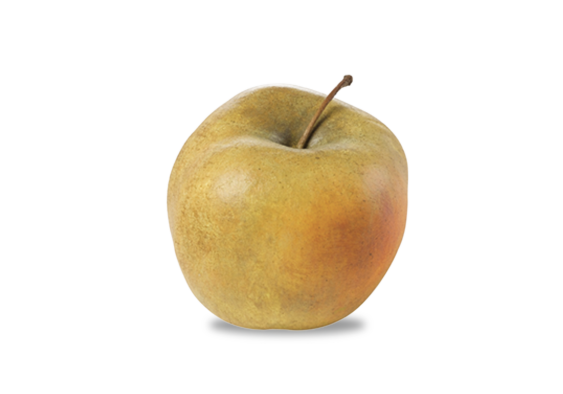 Apfel KANADA RENETTE