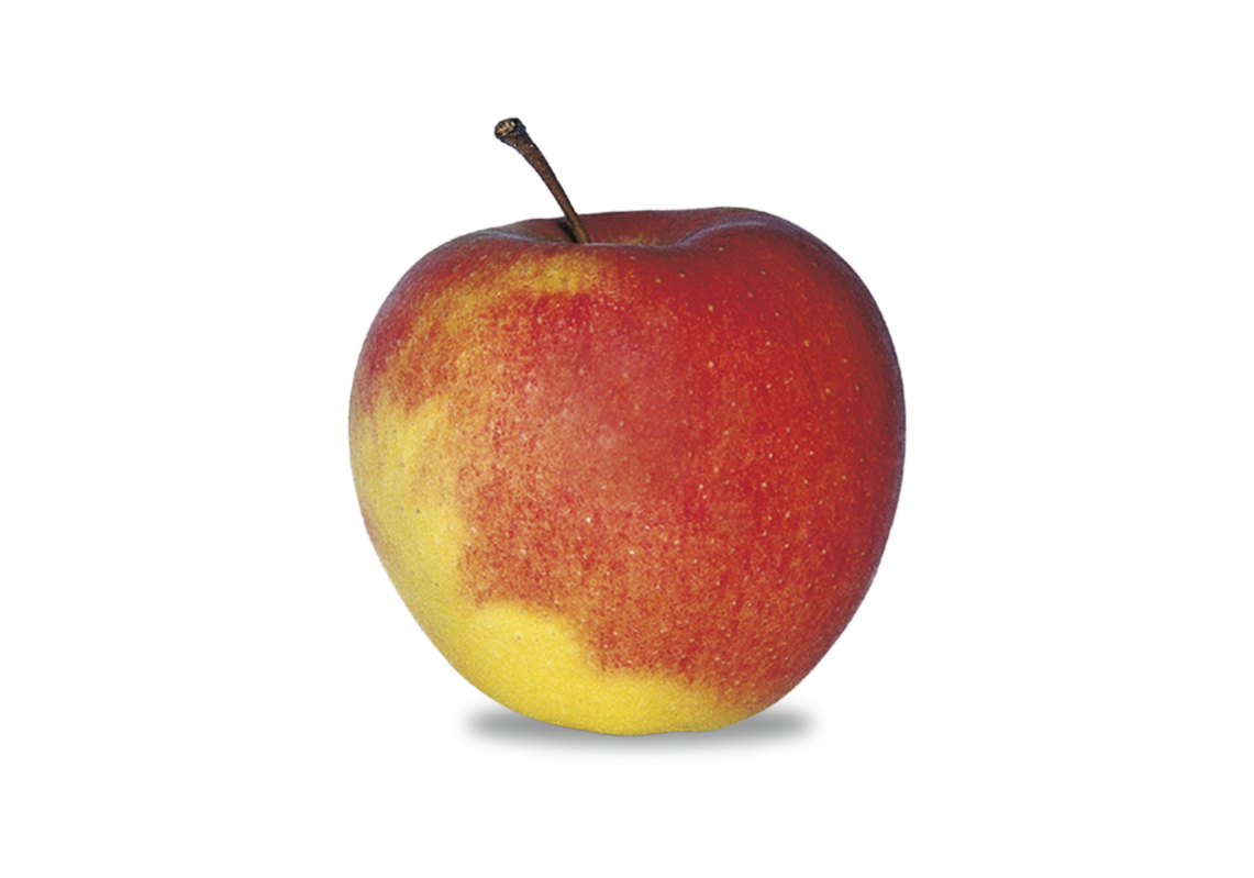 Apfel Pinova
